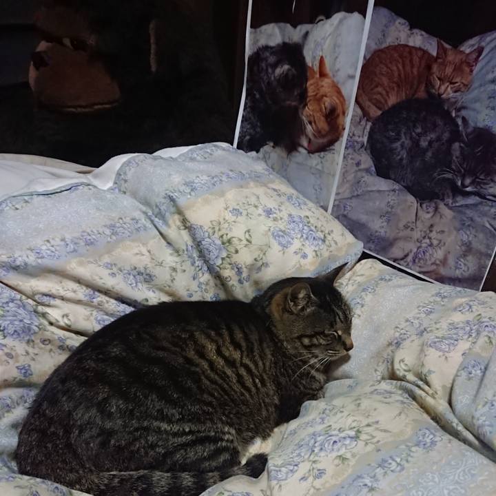 80f2bbca 3150 4808 a623 a6a1c029ae5e 1653744126752