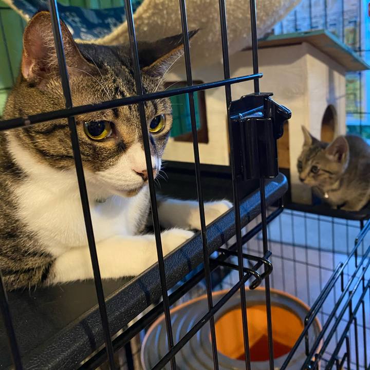 80f3082f fb59 4472 82a3 fa44102eefe0 1721730645972