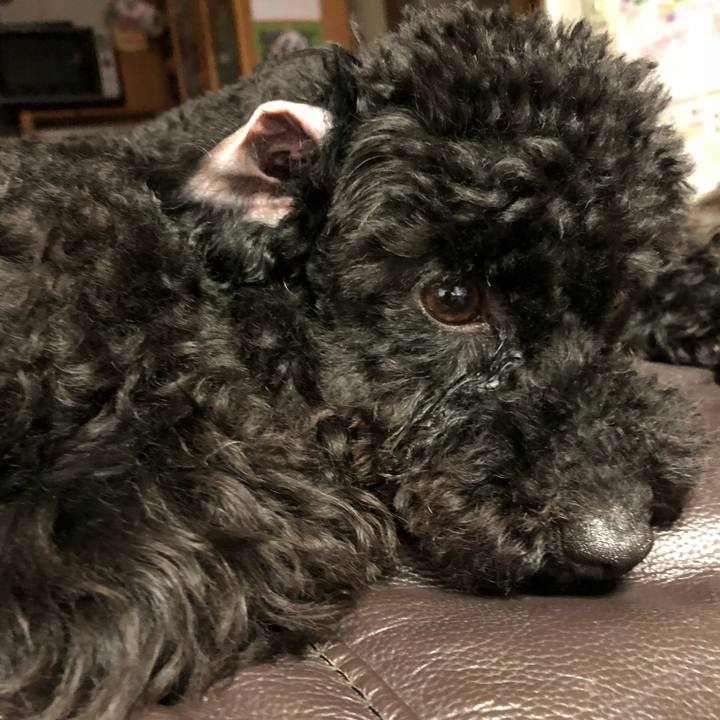 80f348db b184 49ab 8941 b4be9c2be617 1526195716974