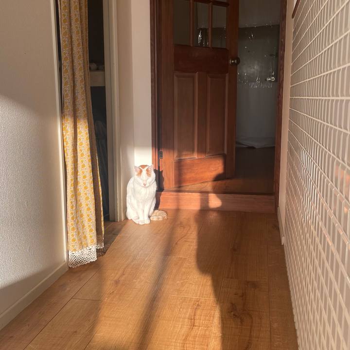 80f38155 9961 4361 a04b f6c4160472e5 1736552022528