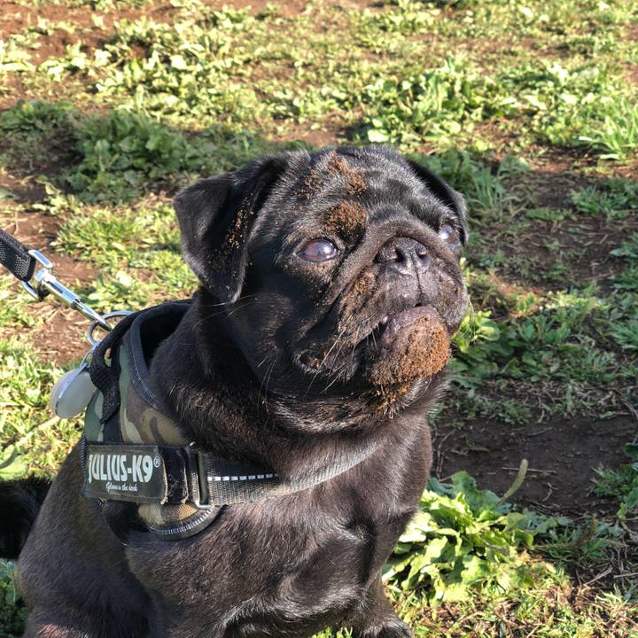 80f39c8d b86e 4f57 b319 74b883d9f8a7 1620450744907