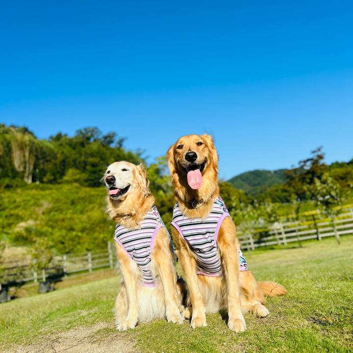 80f39e54 880c 4a02 90dc 66f2f6108b0c 1759977579363