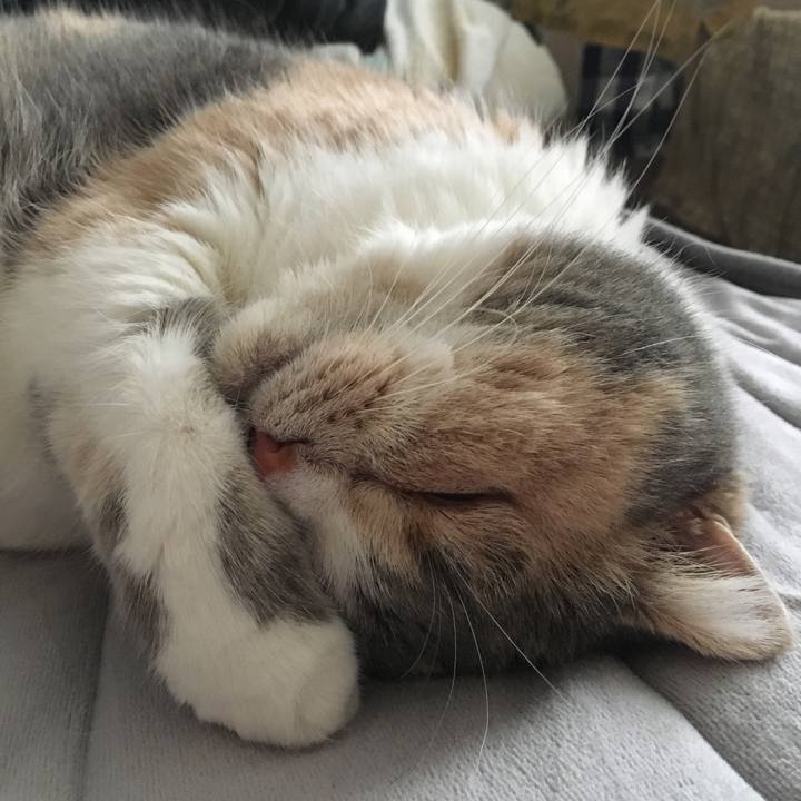 80f3ecbd f652 4fae 9b2a 168ef37ce56f 1547034624221