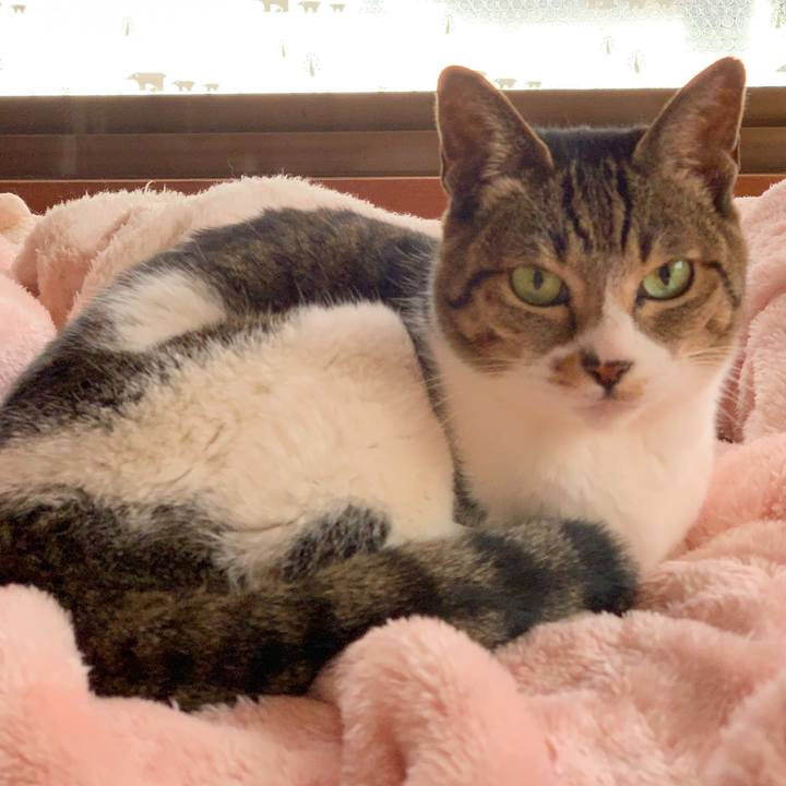 80f4b7a6 20b5 45ab 8416 f5715eb8f28d 1579483529846