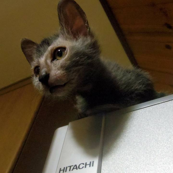 80f4c2b3 bedf 48dd a878 ba89e965a4a8 1511307370418