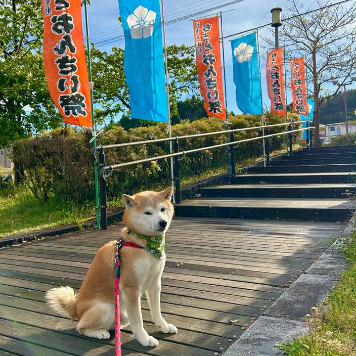 80f4d517 5d5f 4373 a5ab 52d3a07f5c21 1746176588910