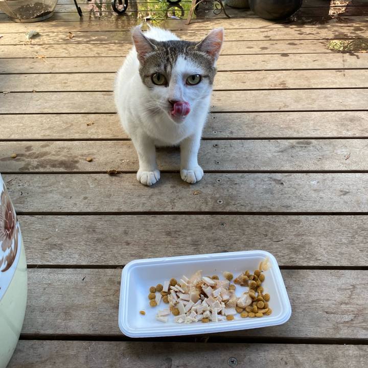 80f4ef3f f375 46a9 8b10 a09dd91a06ef 1658704570256