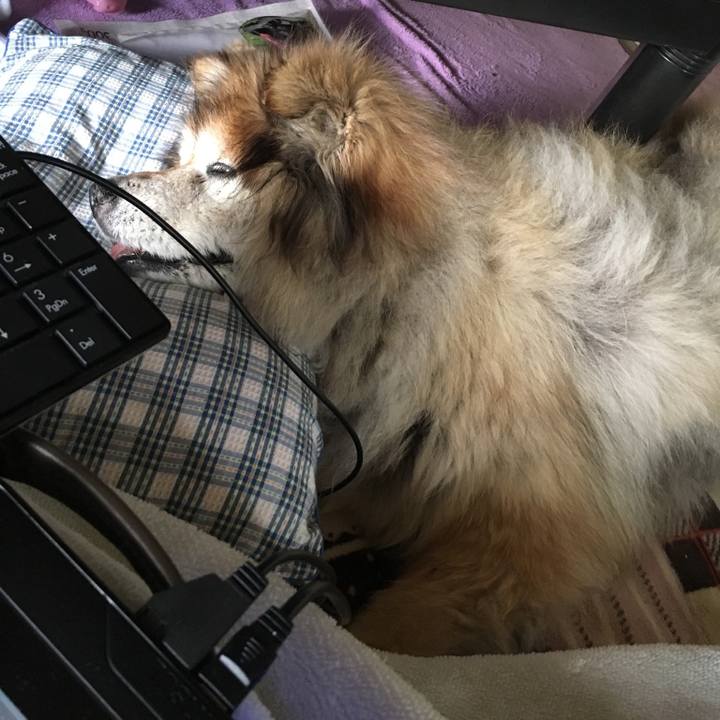 80f4f2bd 5b8a 4bfb 83df e27d3d1d4cb7 1597182335233