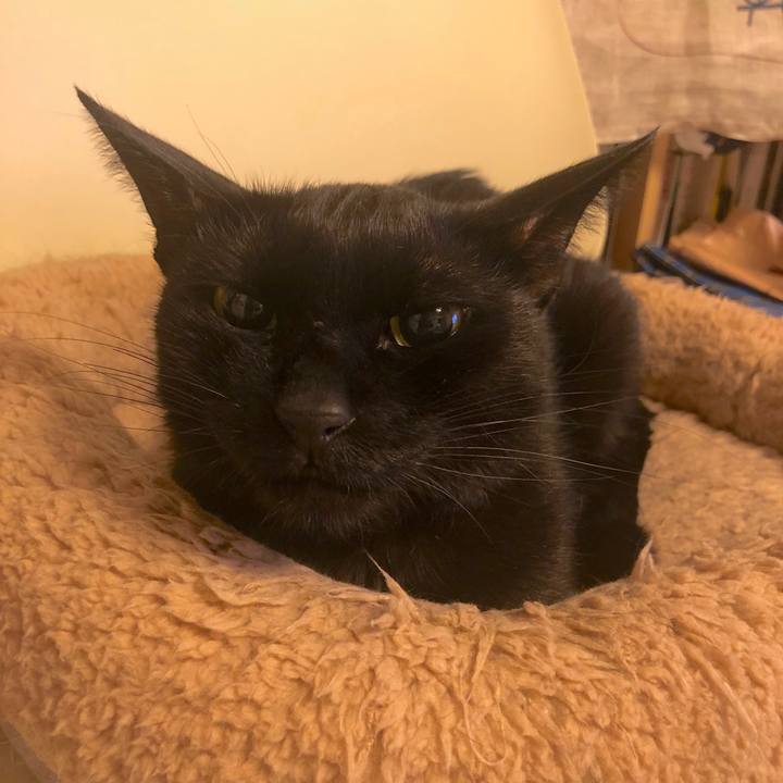 80f4fdfd bcca 43d2 b553 1a802d7b3ed5 1568117363820