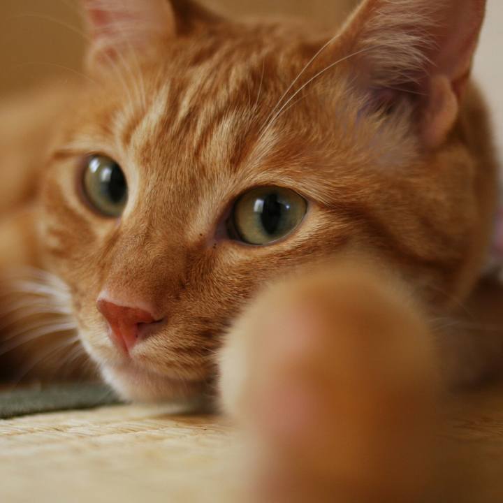 80f53105 92ad 43d6 9118 78cf71388f5e 1523691655087