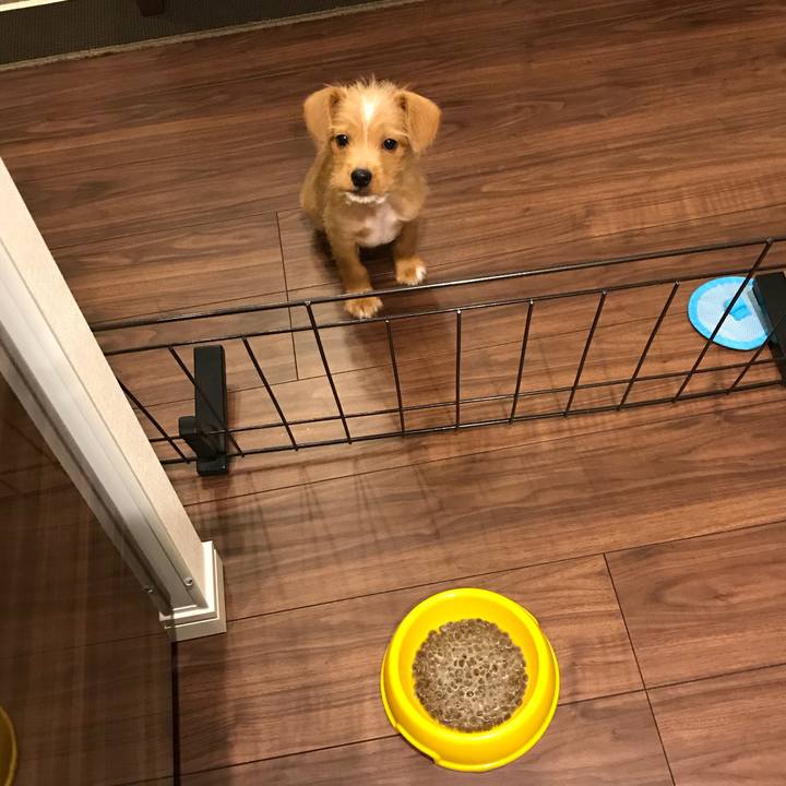 80f54614 8ef5 4e9c 8b7a 2d2069c57e74 1518081141650