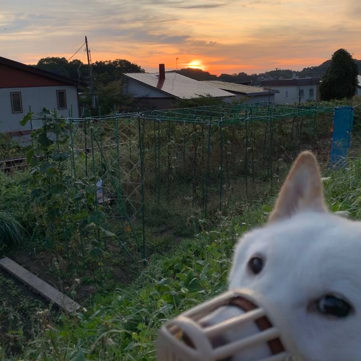 80f556eb 7a1a 4cfb 801e 2b8dc3026f96 1567631871139