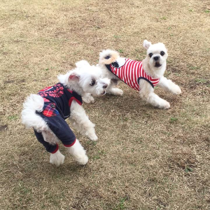 80f5a018 654f 4a02 919a c779d8667443 1543314816592