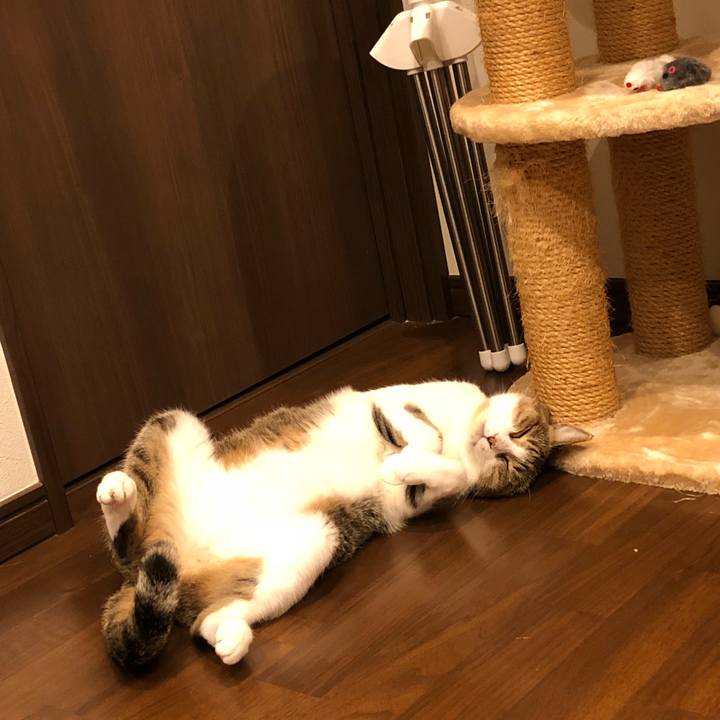 80f5ae34 d6a2 47a7 af33 4a3dd102e87b 1533816515658