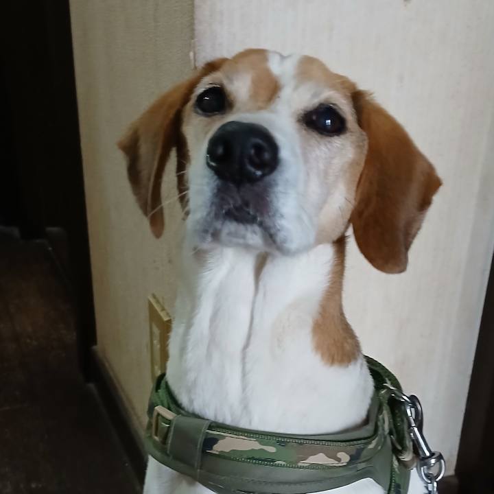 80f5de0f 747d 4d1a baa4 9dbdcd3e5547 1770621534098