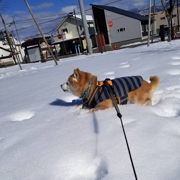 80f6143b e01a 4db0 ba24 52f8280ab335 1706503496362