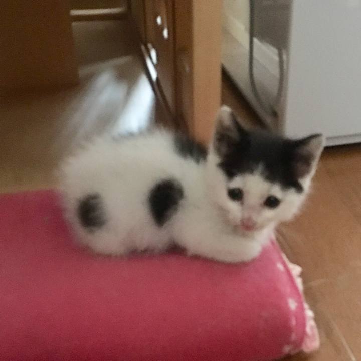 80f6447d 4506 4b35 9630 dce145eac984 1529236824381