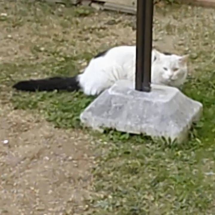 80f6498b 3f9e 4cb3 9cbf ff343220dcf2 1573889839059