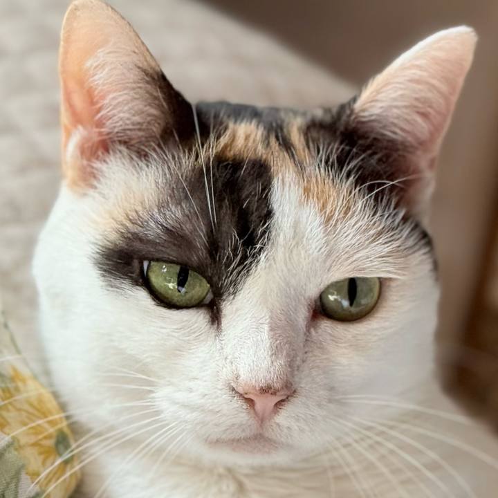 80f65561 0b7f 4505 9232 c000f7da34d5 1754964387314