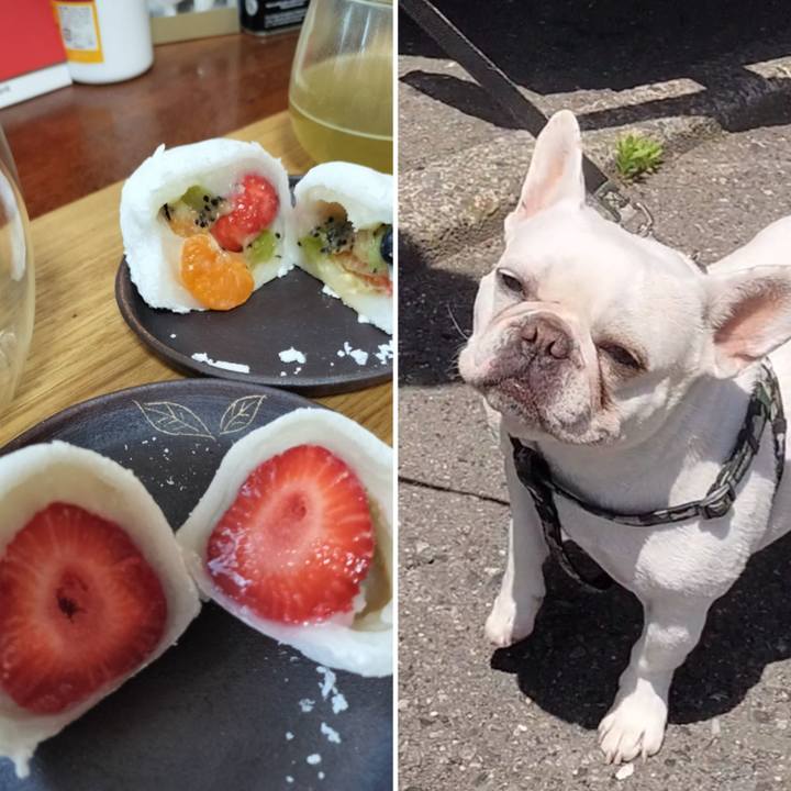 80f66465 18c7 435b 9252 0105442f74d9 1683332858683