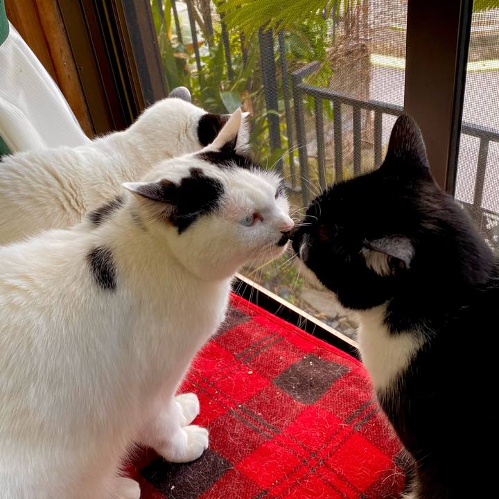 80f66634 0ebc 4469 ac8f 4345531cb8e6 1612360666724