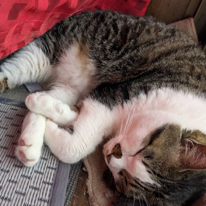 80f68ec9 0810 44d8 9acd 261069d35bcc 1751767860798