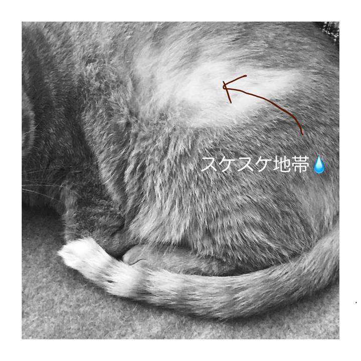 80f6d5df 042e 40a8 b553 c2e8f2be536d 1649823065936