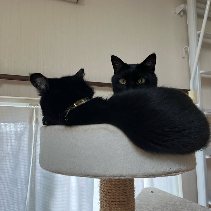 80f6e2bf e96a 46ed b3b2 15cd3aa1ace5 1685228466819