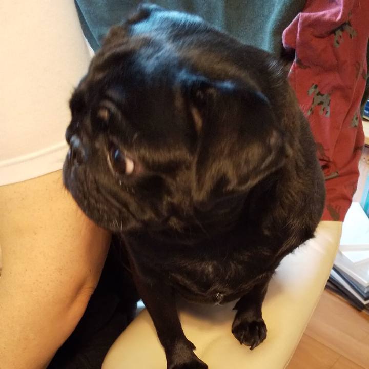 80f703a9 ee8d 4ff3 a62c 5370a94ee0d6 1571019658197