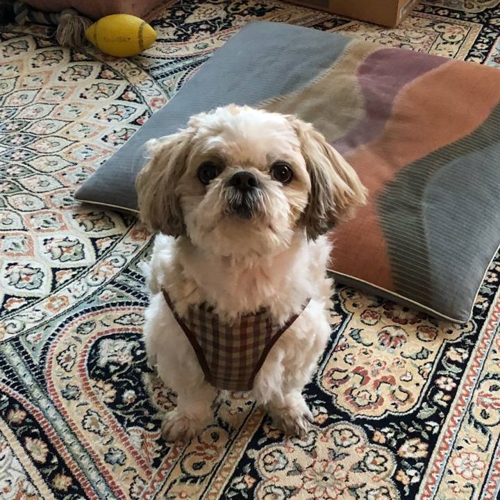 80f7063c 152c 4f8a 84ff df108e1e159b 1522791045942