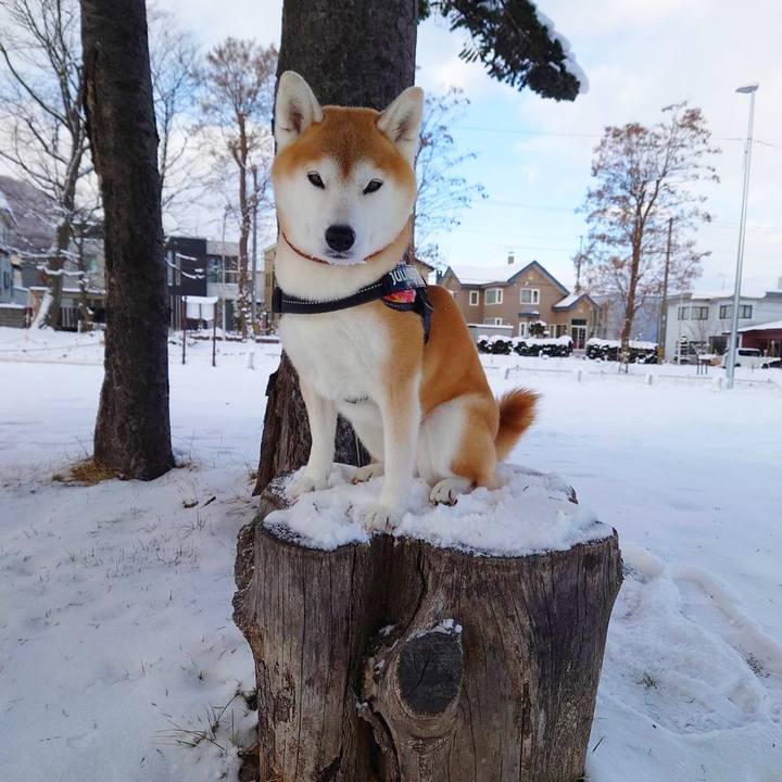 80f71be9 f7c5 4022 8d90 2872e2dd6ae2 1671254404718