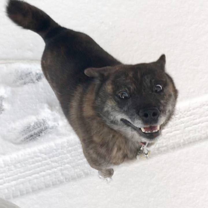 80f755ea 280d 428e 8543 734f4c6f7dc0 1581243226615