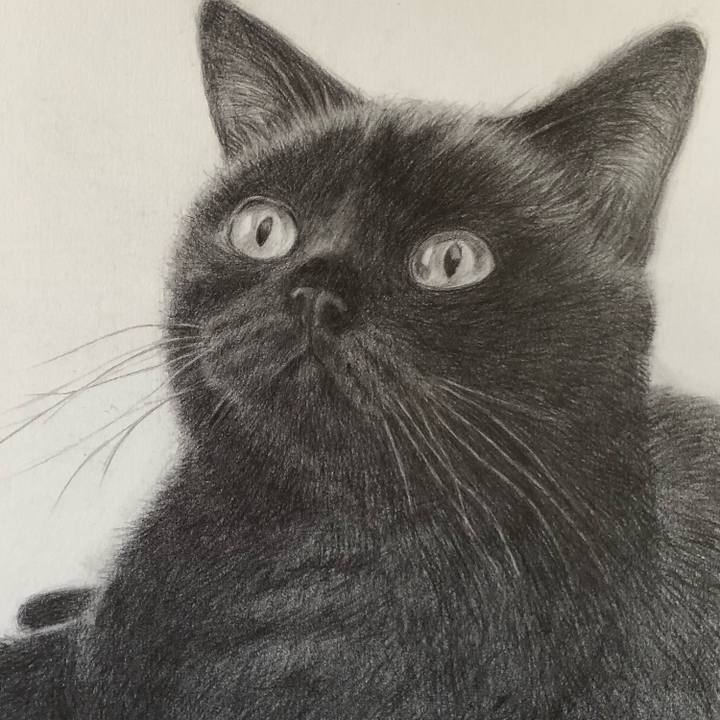 80f7913d 2609 44c2 a6f7 92da20b6b052 1535448266197