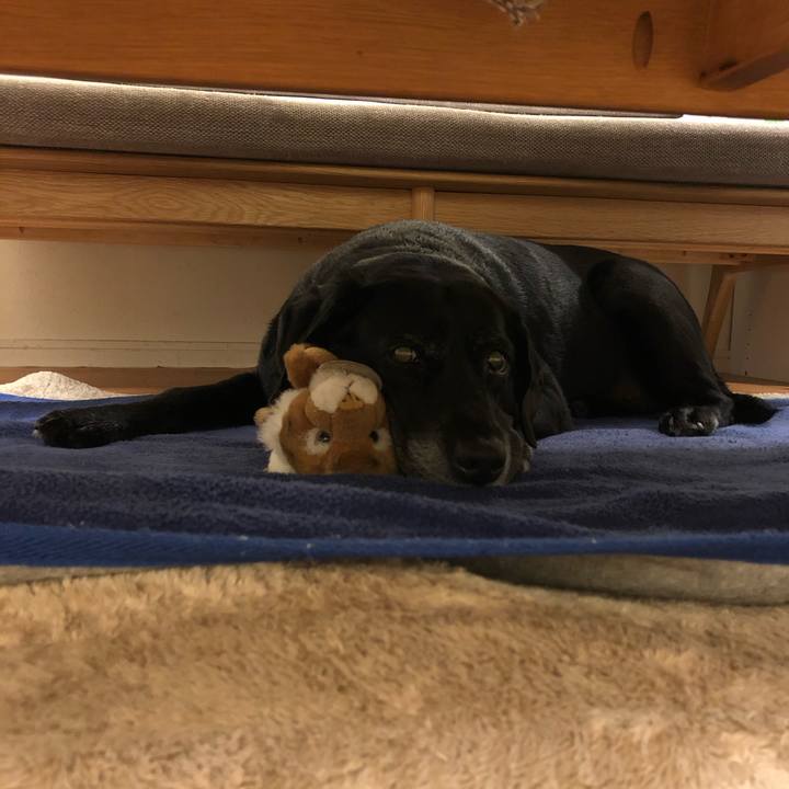 80f7b7b8 9d79 47f2 a37a 2e4a8dc695e5 1572353615898