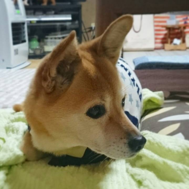 80f7ff60 ca66 4073 ba9f d9f4b38638e8 1543507537789