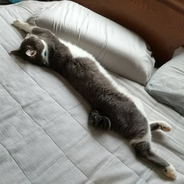 80f83cbc f159 4d0d af05 797735cbb077 1623133309156