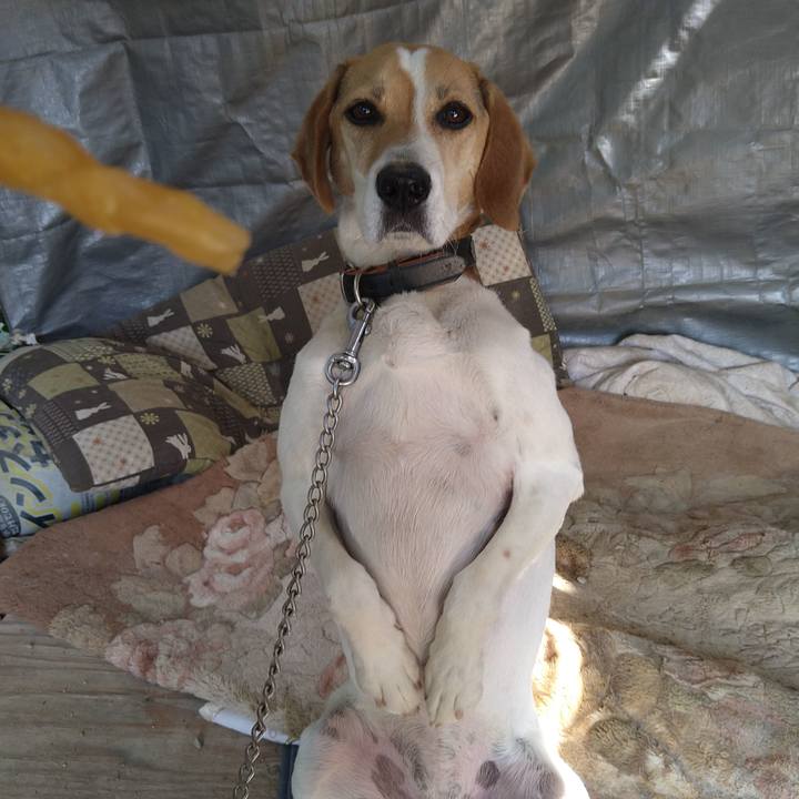 80f879f0 7991 40d9 9364 345fc95424f4 1654873028059