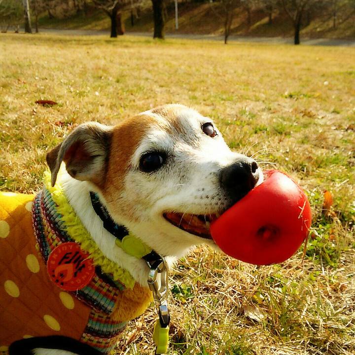 80f8a1a7 4856 49a0 8667 99f051deed75 1516521106190