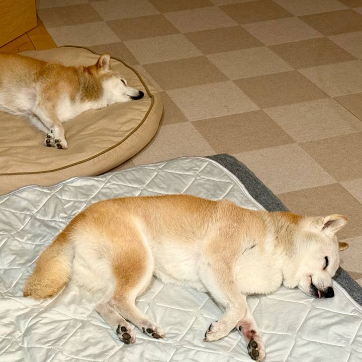 80f8aed8 5498 4baa b5a9 9d81350af5e7 1760461881120