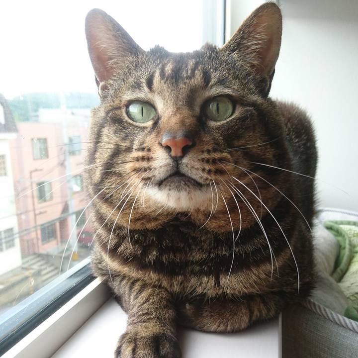 80f8f318 ff3c 4752 af53 c3bb1a1dc0eb 1529624465462