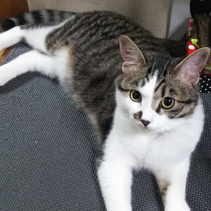 80f8fe28 b820 4b01 a3c9 20c4248fcc4a 1618490837429