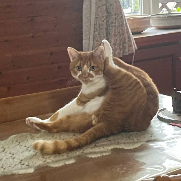 80f94b95 79c3 4b3b be16 9dcbbd56d583 1723119360317