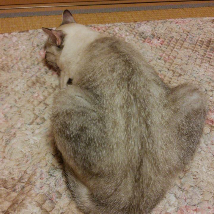 80f94eb7 8b2f 46d7 a758 b1252e64316a 1508506182913