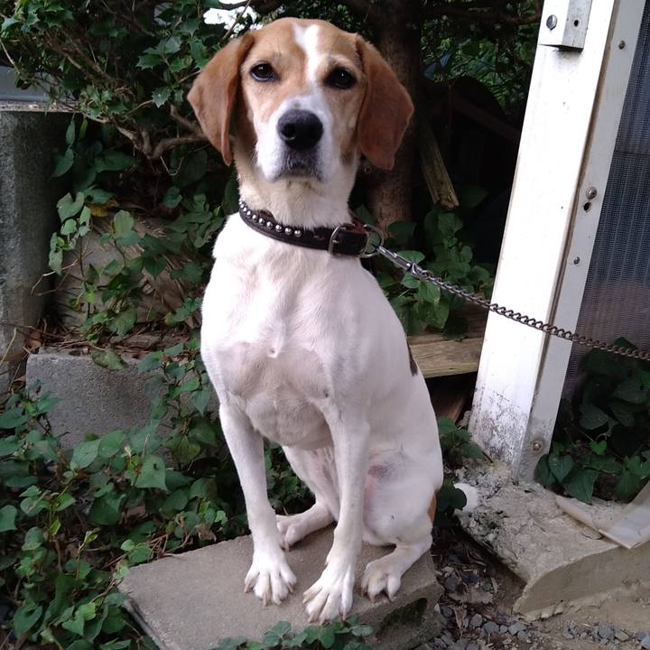 80f99227 7f10 4af1 9900 88ff6e1aaa8b 1658312879016