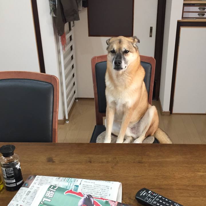 80f99290 ece5 491d b933 56a69678886e 1515713043454