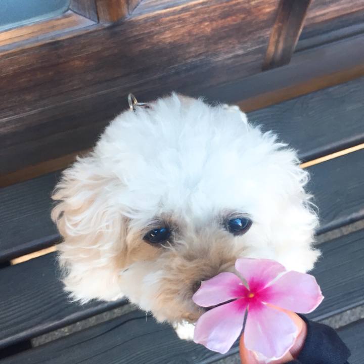 80f9df86 fa90 46f7 b48a b6dad10609a7 1533267171300