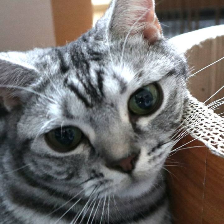 80fa10cd 4289 4bed 9fb1 04fea1580bcc 1582712327771