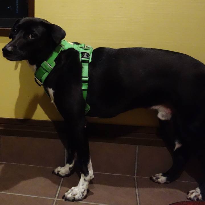 80fa383e 4777 44cb 9eb0 673f773477d4 1602065898212