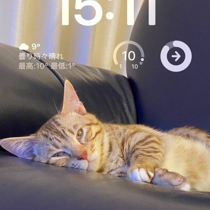 80fa7b32 3985 45c4 b00f 2aae8032be34 1675836777618