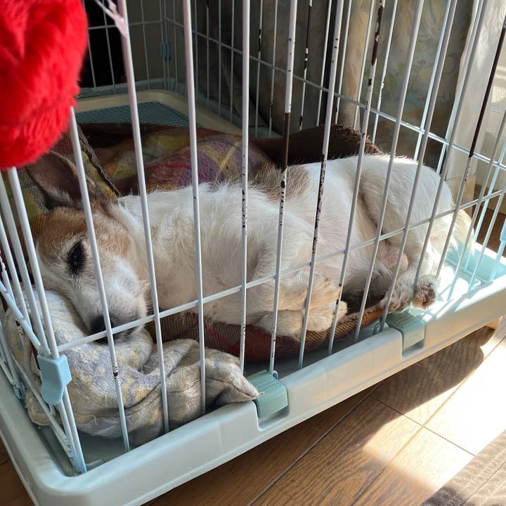 80fa8daf f387 4fb9 8b93 fd2299b6175f 1699571826232